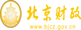 操逼视频免费国内北京市财政局